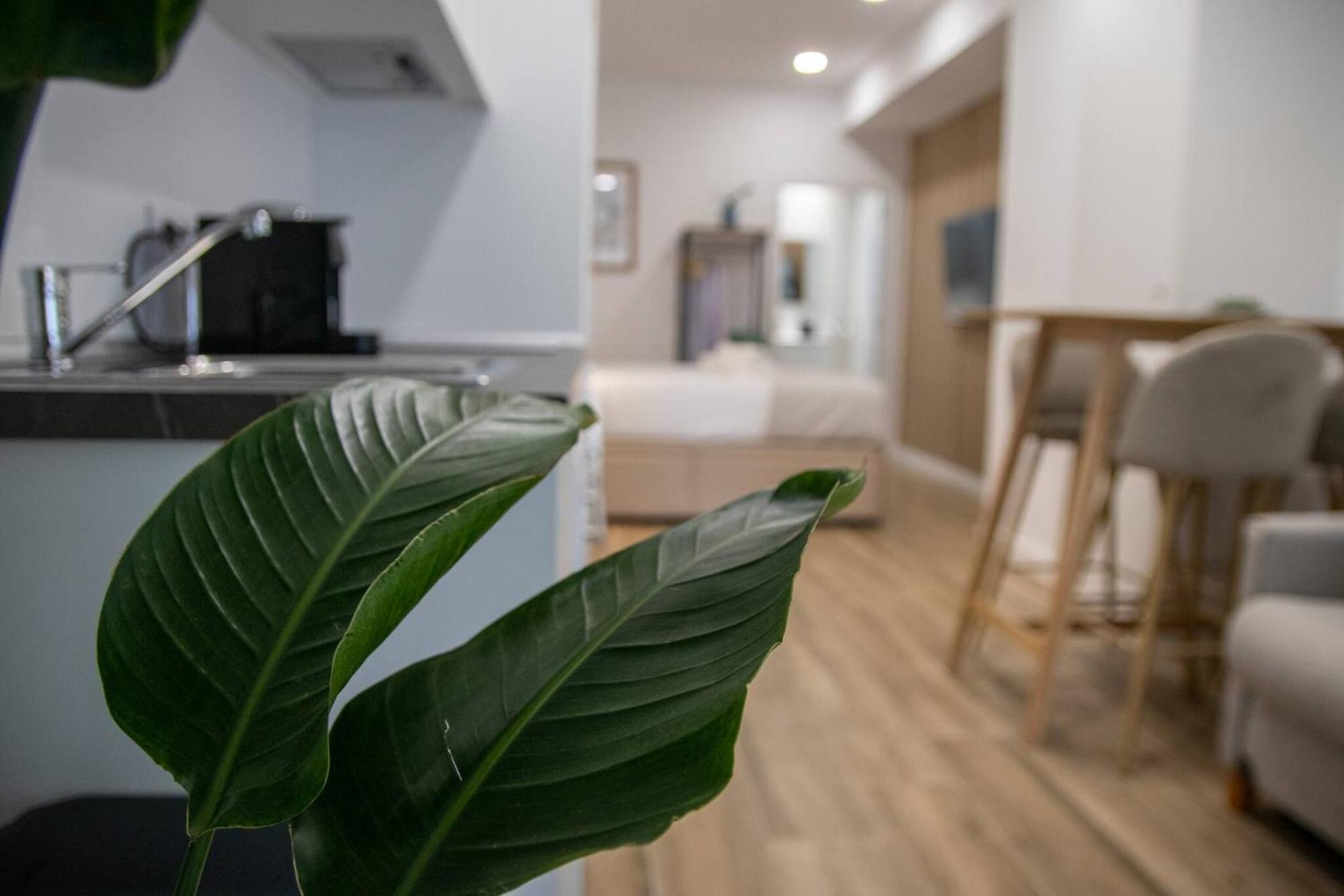 Appartement Cid Flats By Concept